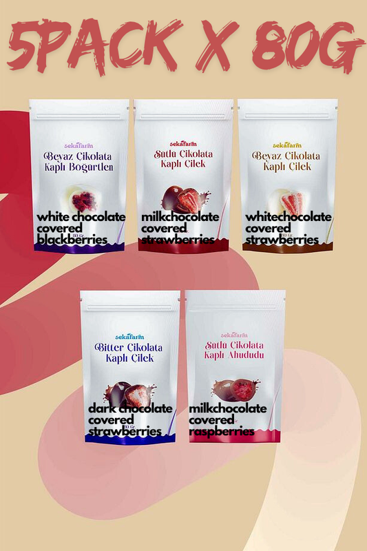 Chocolate Covered Freeze-Dried Fruit – 5-Piece Premium Gift Set